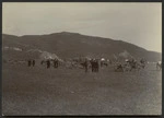 D Battery in camp at Miramar, Wellington