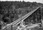 Makatote viaduct