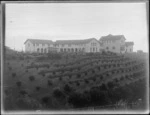 Iona College, Havelock North