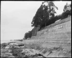 Rocks Road sea wall, Nelson
