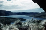 Perseverance Harbour from coast watchers' cave