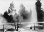 Geyser at the Rotorua Sanatorium