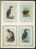 Archibald Dudingston Willis (Firm) :Eudyptes chrysacomus / Yellow crested penguin. Kiwi. Phalacrocorax featherstoni / Chatham Island shag. Ardea sacra / Blue heron. [ca 1885]