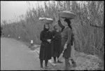 Peasant women from one of the villages just behind the forward areas of the Italian Front, World War II - Photograph taken by George Kaye