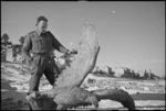 Fascist statuary lying in the snow in the forward areas of the Italian Front, World War II - Photograph taken by George Kaye