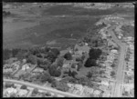 Mr A B Seccombe's property, Remuera, Auckland, with other residential properties and bush in the surrounding area