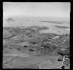 Otumoetai, Tauranga, Bay of Plenty