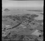 Otumoetai, Tauranga, Bay of Plenty, with Mount Maunganui in the background