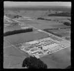 Timber mill, Egmont Box Company Limited, Tokoroa, Waikato