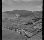 Ngongotaha, Rotorua, includes lake, farmland, housing and roads