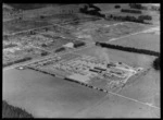 Egmont Box Company factory with saw mill and stacked lumber, with milled land and pine forest beyond, Tokoroa, Waikato Region