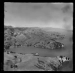 Kirita Bay, Coromandel