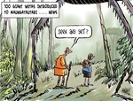 Hawkey, Allan Charles, 1941-: 100 giant wetas introduced to Maungatautari...News. 19 April 2012