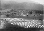 Overlooking rows of tents at Trentham Military Camp
