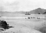 Photograph taken on Codfish Island, Southland, by Alfred Burton