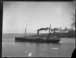 Ship Wimmera, Wellington Harbour - Photographer probably David James Aldersley