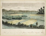 [Cooper, Alfred John] 1831-1869 :Te Arakanihi 11 / [18]55