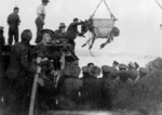 Transporting a donkey, during World War I