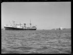 Congested shipping boats, Auckland harbour