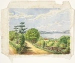 [Clere, Frederick de Jersey] 1856-1952 :[Wellington from the Botanic Gardens. 192-?]