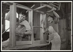 Carpenters working on window frames for state houses, New Zealand