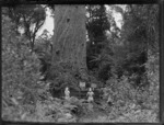Two unidentified women standing at the foot of Tane Mahuta in the Waipoua Kauri Forest, Northland
