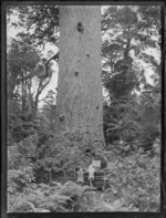 View of the bottom half of Tane Mahuta, the giant Kauri tree, Waipoua Kauri Forest, Northland, showing two unidentified women standing in front of the tree