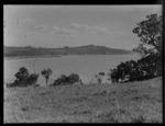 Stanmore Bay, Whangaparaoa, Auckland, including coastline and hills
