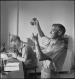 Captain J Peddie and Sergeant M Flower in Pathology Laboratory at 3 NZ General Hospital, Beirut, Lebanon - Photograph taken by M D Elias