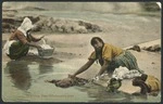 Postcard. Washing day, Whakarewarewa. Copyright T Pringle, Wellington, NZ, 105. Printed in Germany [ca 1906-1907]