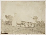 Mr Kerr's house Tupuangi, Pitt Island, Chatham Islands