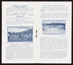Tongariro Park Tourist Company Ltd :Telephone and bureau communications ... the Lodge - Whakapapa huts [Double page spread. 1929].