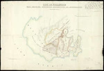 Luff, G A M, fl 1899 :City of Wellington. Map showing proposed extension of boundaries [ms map]. G A M Luff, authorised surveyor, August 31, 1899.