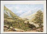 Barraud, Charles Decimus 1822-1897 :Craigieburn Valley / C. D. Barraud del, E Walker, lith., C. F. Kell, lithographer, Castle St, Holborn, London E.C. [1877]