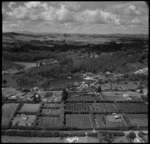 Aerial view of Kerikeri, Bay of Islands, New Zealand