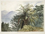 [Yarborough, Gertrude Flora Cooke], fl 1870-1917 :Fern in front of gate [1879-1881?]