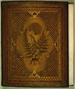 Seuffert, Anton, 1815-1887: New Zealand ferns. Back cover