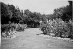 View of the garden, Vogel House, Lower Hutt