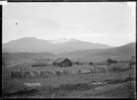 Mt Karioi from Kopua - Photograph taken by Gilmour Brothers