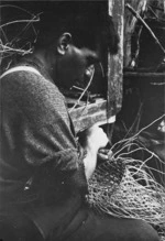 Man weaving a fish trap
