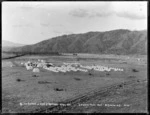 5th Regiment camp at Trentham, Wellington region