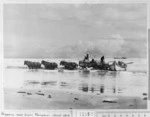 Wool transportation, Fairy Bay, Mangakuri Beach, Hawke's Bay