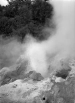 Geyser at Wairakei