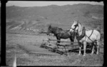 Horses and hay sweep, Waiorau Sheep Station, Otago