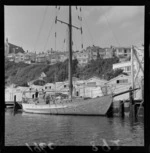 Yacht in Wellington harbour, houses on Mount Victoria and St Gerard's Church and Monastery in the background, Oriental Bay