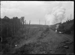 Train on the North Island Main Trunk Line near Ohakune.