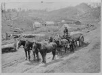Horse drawn cart hauling timber, Hautapu district, Hawke's Bay