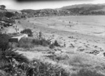 Beach scene at Titahi Bay