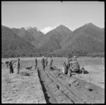 Ploughing demonstration, Fox Glacier