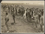 Competitors taking the oath at the New Zealand surf championships, New Brighton, Christchurch